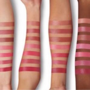 💄HP💄BareMinerals Mineralist Lip Vault 15 lipsticks set